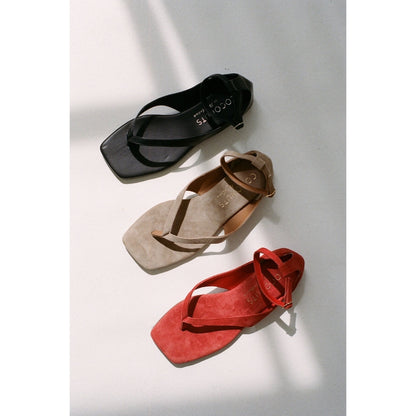 Matisse Footwear Kerry thong sandal Black
