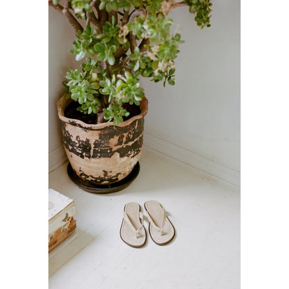Matisse Footwear Leo flip flop sandal Taupe